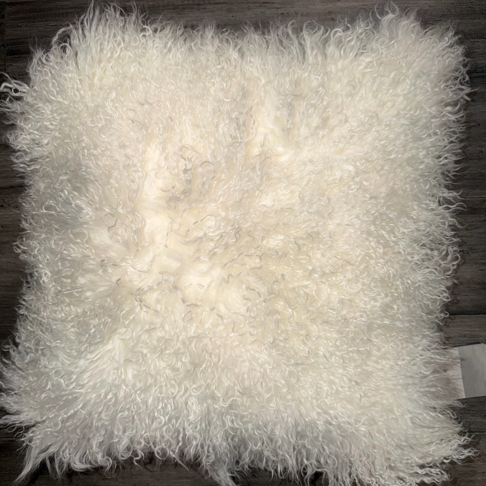 West Elm Mongolian Lamb Pillow Cover & Decorative Pillow Inserts (Brand New)